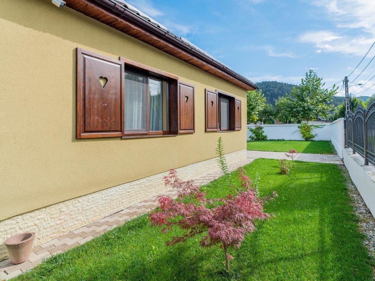 Casa Saraste Rasnov Exterior foto